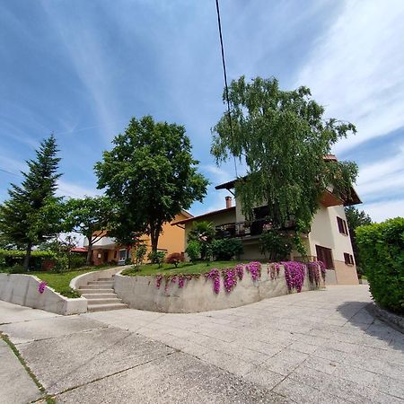 Apartma Breza Kojsko Buitenkant foto